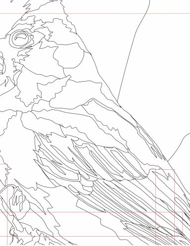 Outline